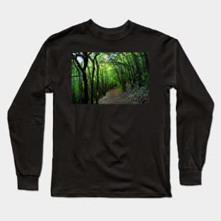 View on the way to the Lame Rosse with oblique trees Long Sleeve T-Shirt